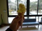 P1000038.JPG