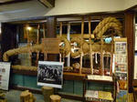 P1000068.JPG