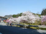 P10002461.jpg