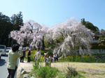 P10002471.jpg