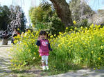 P10002481.jpg