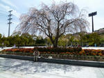 P10002681.jpg
