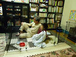 P1000280.JPG