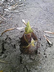 20110506.jpg