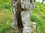 P1000286.JPG