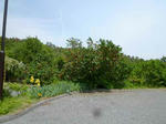 P1000309.JPG