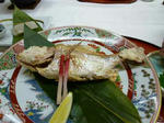 P1000431.JPG