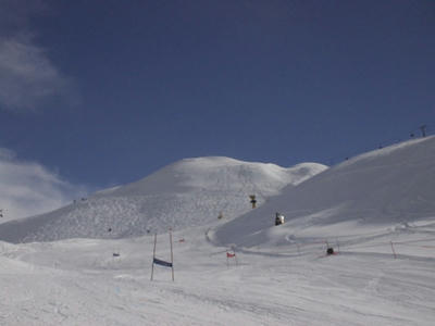 NZ001.JPG