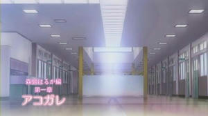 2db085f5.jpg