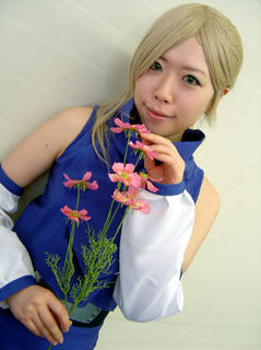 DSC_ino2.jpg