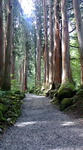 20080903125427.jpg