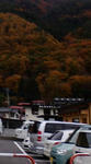 F1000256.jpg