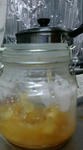F1000263.jpg