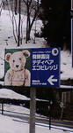 20090120120221.jpg