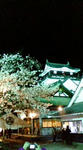 F1000396.jpg