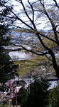 F1000448.jpg