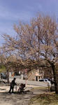 F1000449.jpg