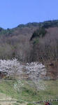 F1000467.jpg
