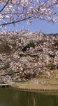 F1000468.jpg