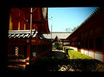 isaniwa2.jpg