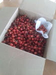 cherry3