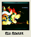 bowser1