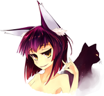906rkgkbc.png