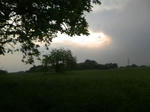 080517_173025.JPG