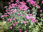 080601_092802.JPG