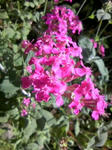 080601_092819.JPG