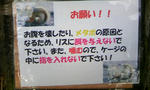 081224_144001.JPG