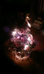 081225_202452.JPG