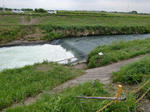 arakawa.jpg