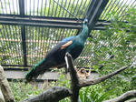CIMG0855.jpg
