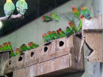 CIMG0856.jpg