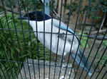 CIMG0859.jpg