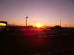 CIMG0970.jpg