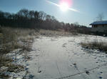 CIMG0974.jpg