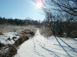 CIMG0997.jpg