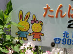 CIMG1195.jpg
