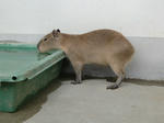 CIMG0102.jpg