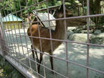 CIMG0237.jpg