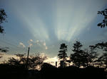 3894018a.jpg