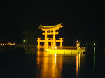 DSC01238.JPG