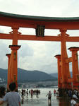 DSC01230.JPG