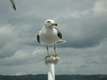 DSC01814.JPG