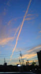 080924_1754~01.jpg