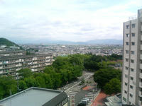 e2778233.jpg