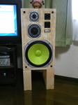 A01.JPG