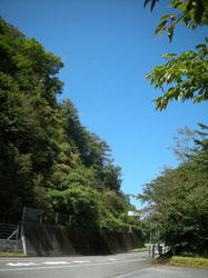 20081002-011.jpg